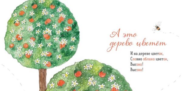 Где твой цветок? - Image 3