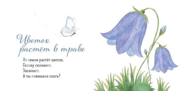 Где твой цветок? - Image 4