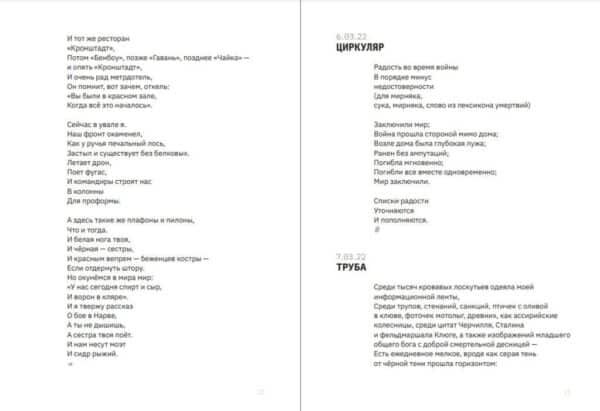 Год гепарда - Image 4