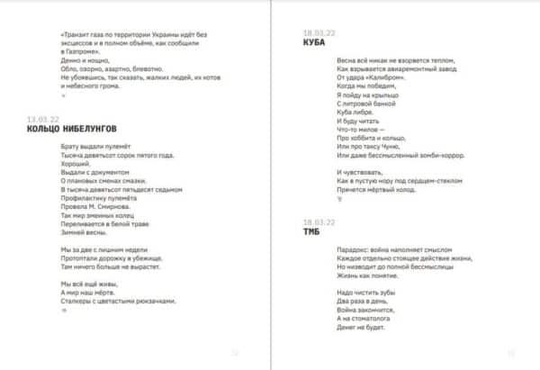 Год гепарда - Image 5