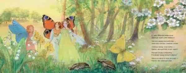 Летим в страну эльфов (иллюстрации Даниэлы Дрешер) - Image 3