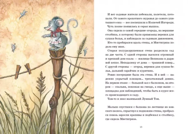 Лунный Том и тайна страны Альба Лонга. Книга 2 - Image 5