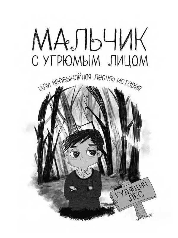 Мальчик с угрюмым лицом, или Необычайная лесная история - Image 2
