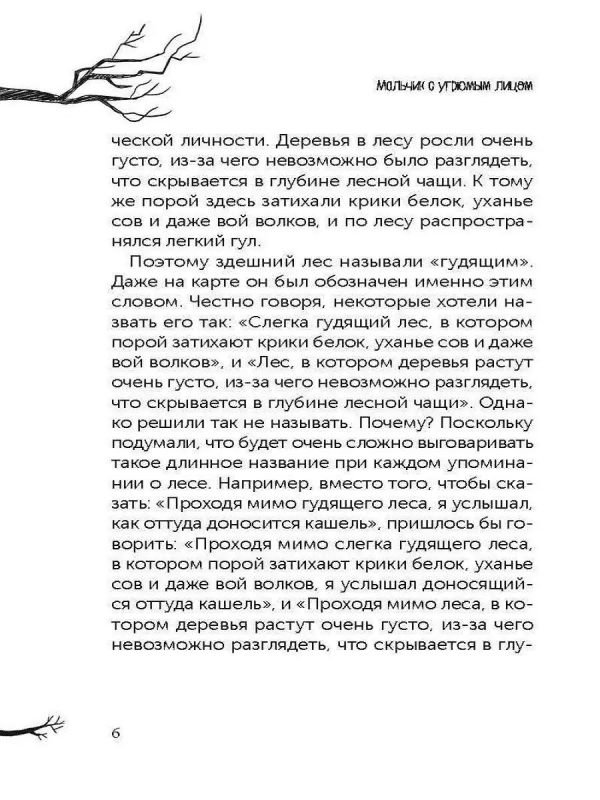 Мальчик с угрюмым лицом, или Необычайная лесная история - Image 6
