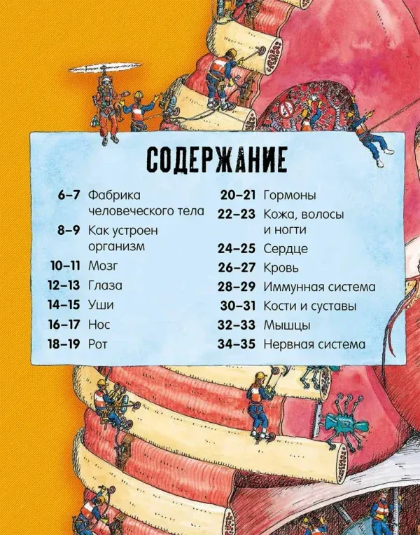 Невероятное тело человека. - Image 3