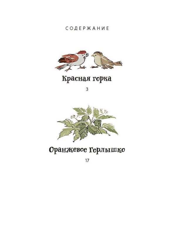 Оранжевое Горлышко - Image 4