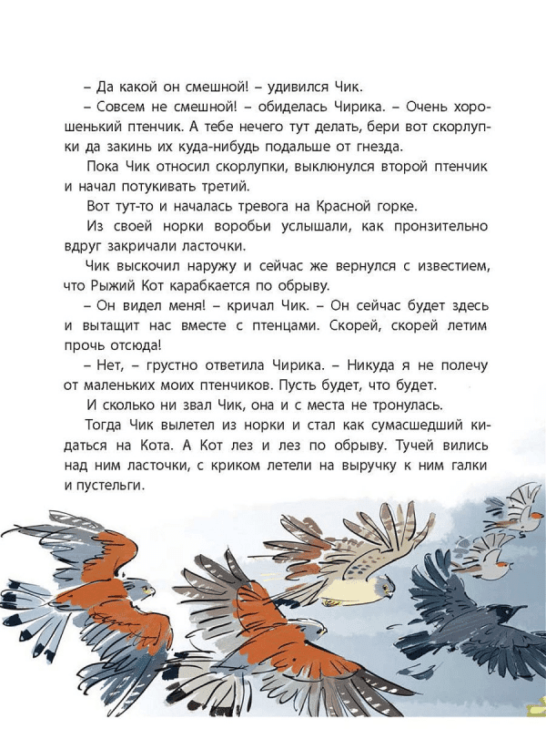 Оранжевое Горлышко - Image 6