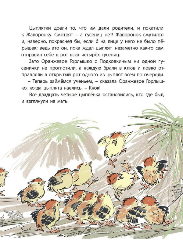 Оранжевое Горлышко - Image 8