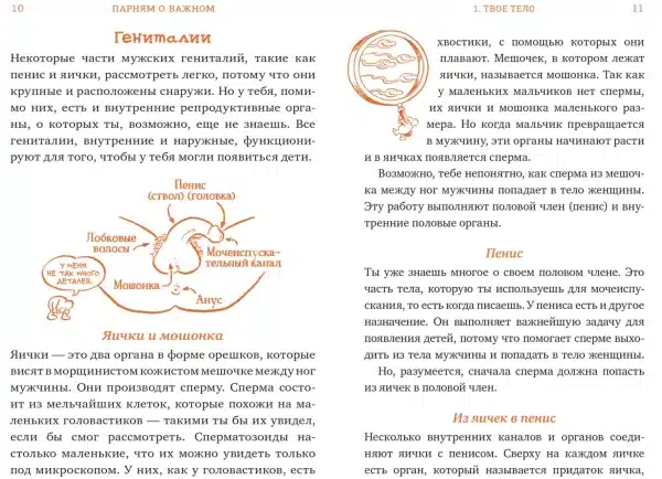Парням о важном. Все, что ты хотел знать о взрослении, изменениях тела, отношениях и многом другом - Image 4