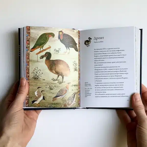 Птица по имени… - Image 8