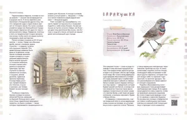 Птицы в городе. Где найти и как узнать - Image 6
