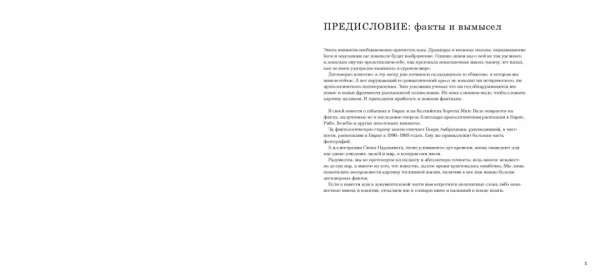 Сага о людях из Бирки, шведского города эпохи викингов - Image 2
