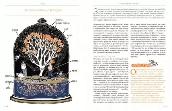 Тайна ничто и бесконечно много глупостей - Image 7
