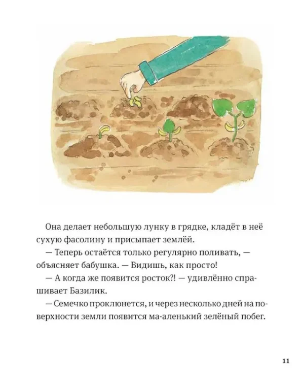 В саду Базилика. Как появляются новые растения? - Image 7