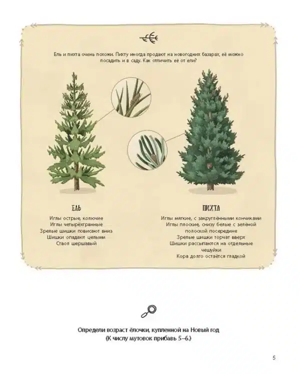 Елка и ее родственники - Image 3