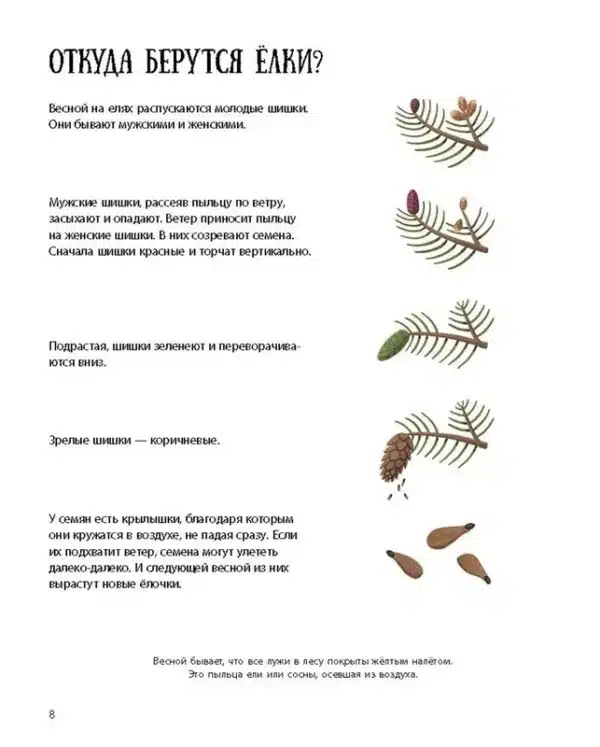 Елка и ее родственники - Image 6